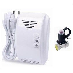 Alarme à la maison professionnelle de détecteur de gaz, Co et sonde de gaz, AC220V