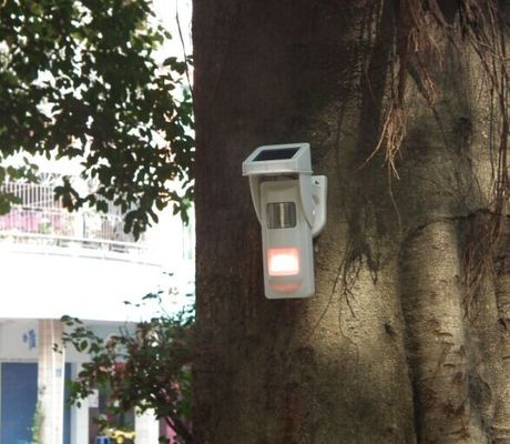 犬の Beware のための太陽エネルギー PIR の思い出す侵入の警報システム